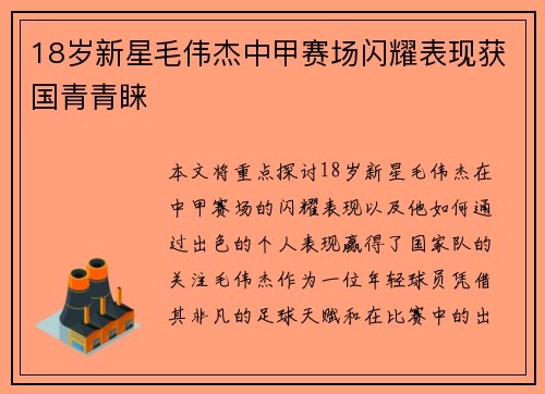 18岁新星毛伟杰中甲赛场闪耀表现获国青青睐